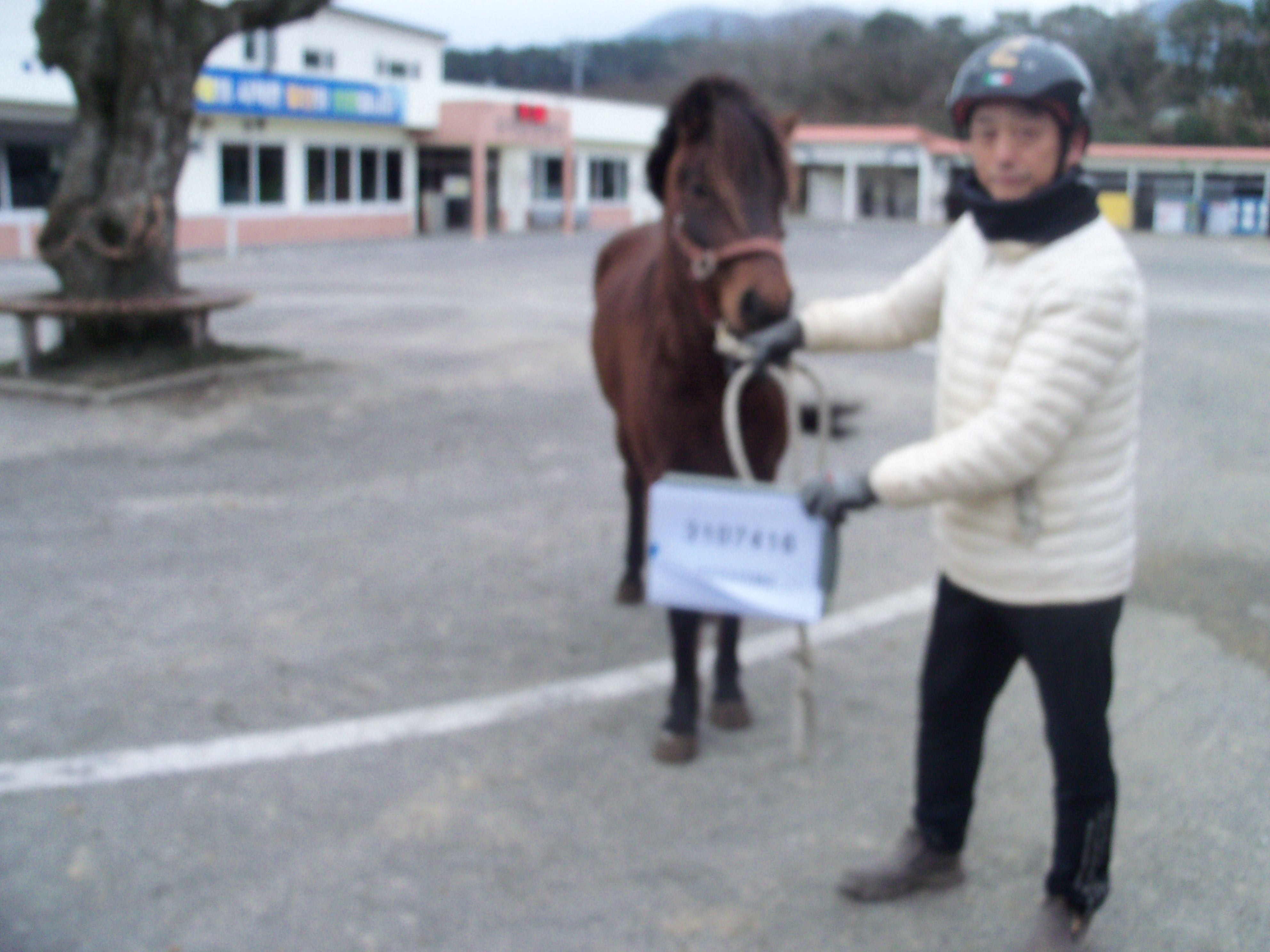 불꽃천하 사진