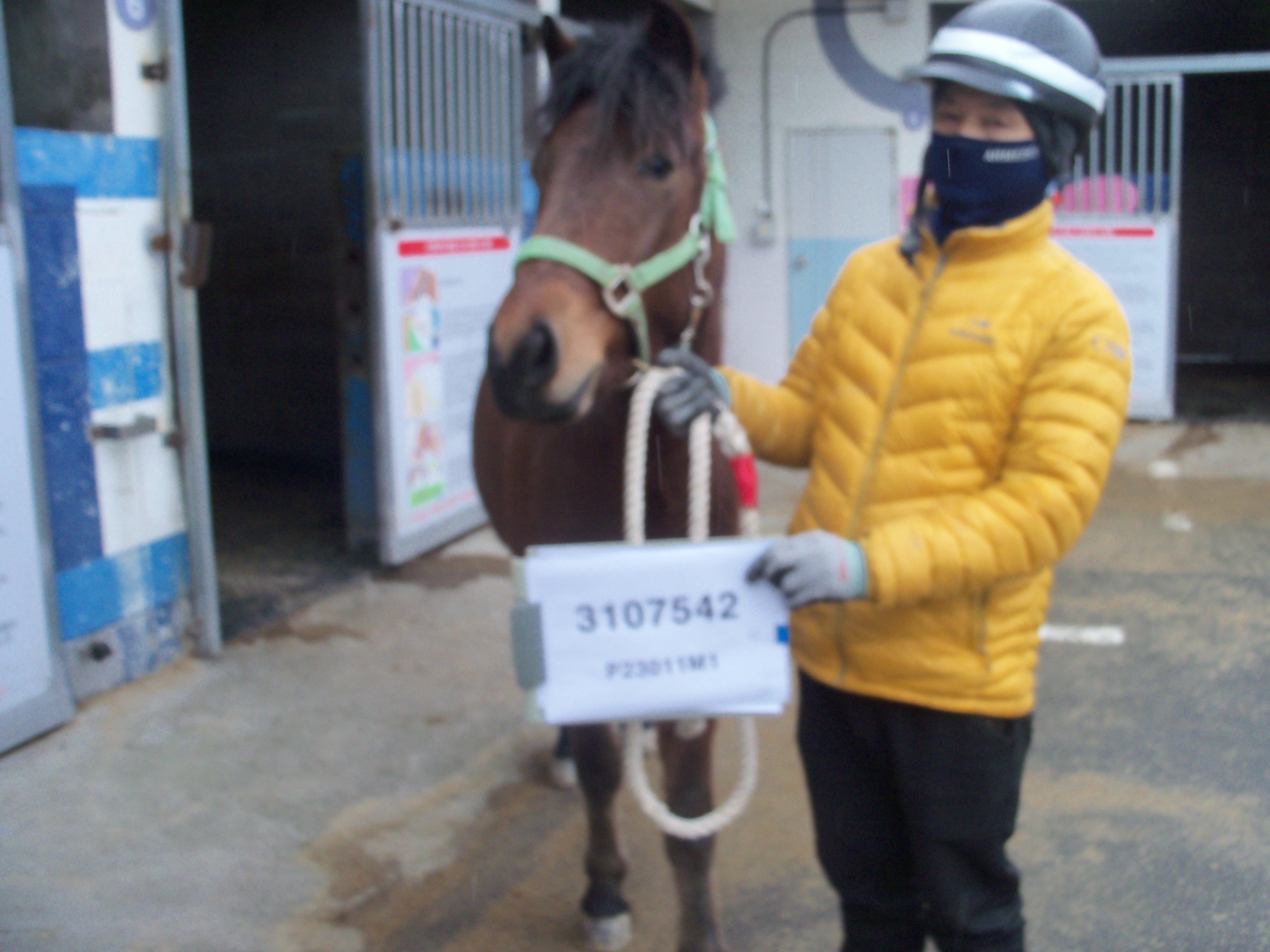 황해바람 사진