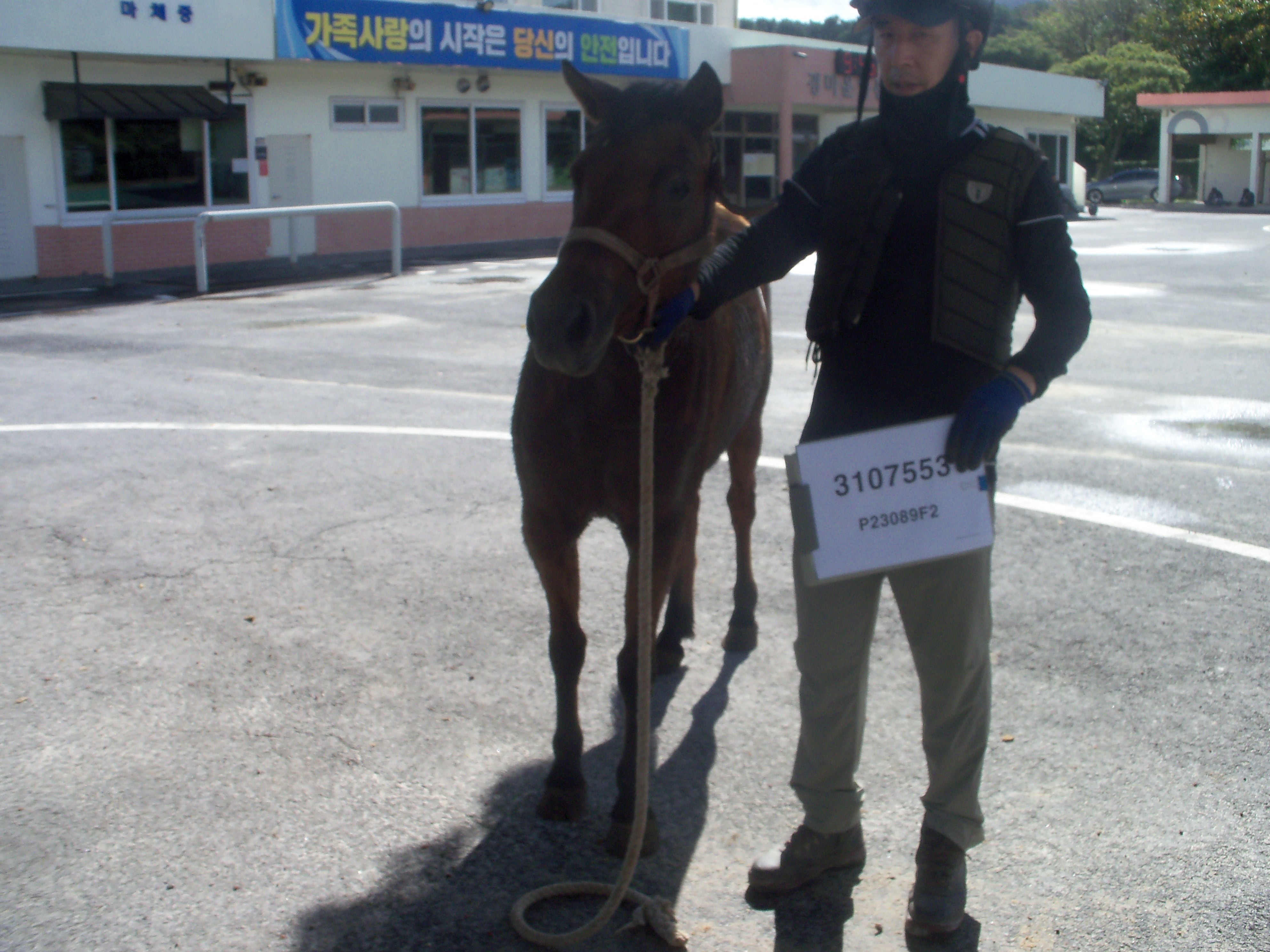 별빛천하 사진
