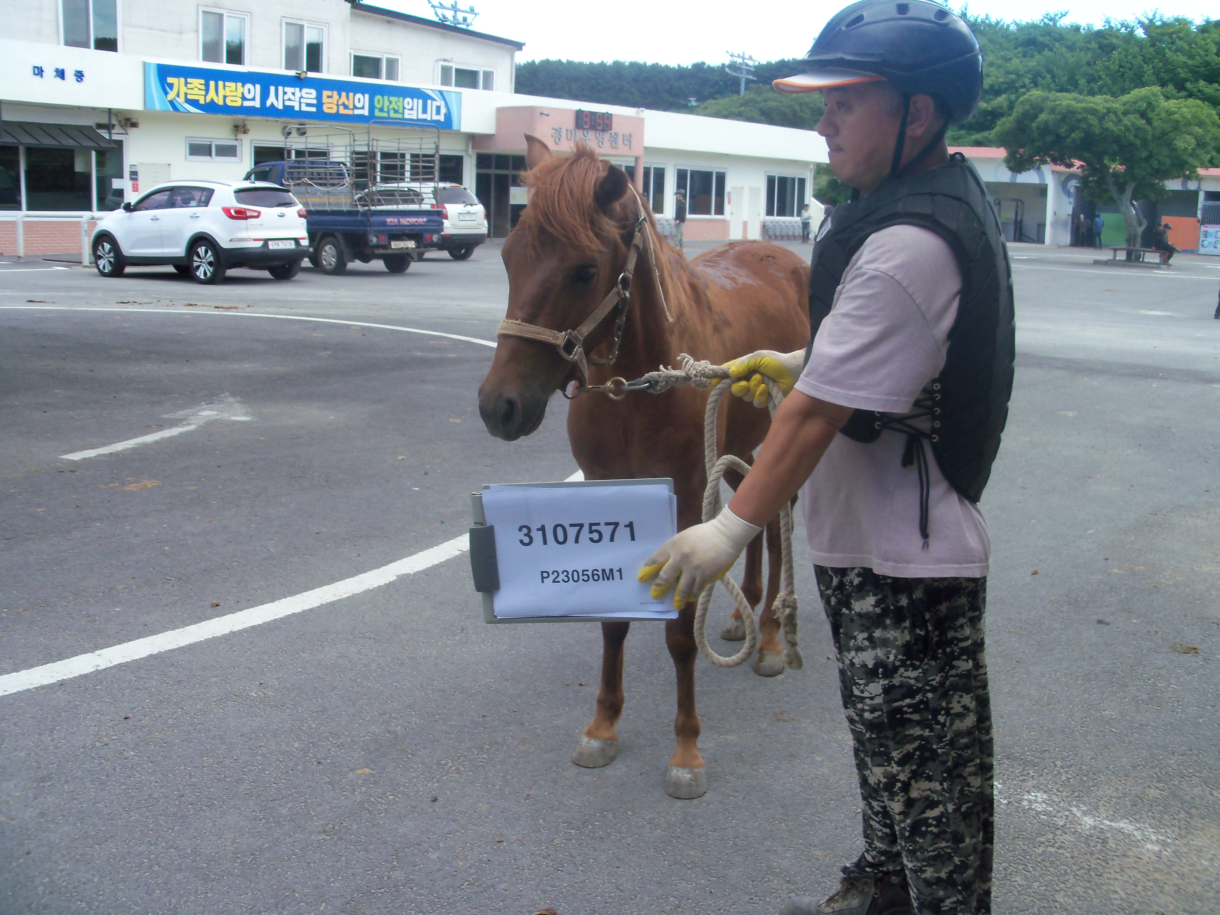 돈마제트 사진