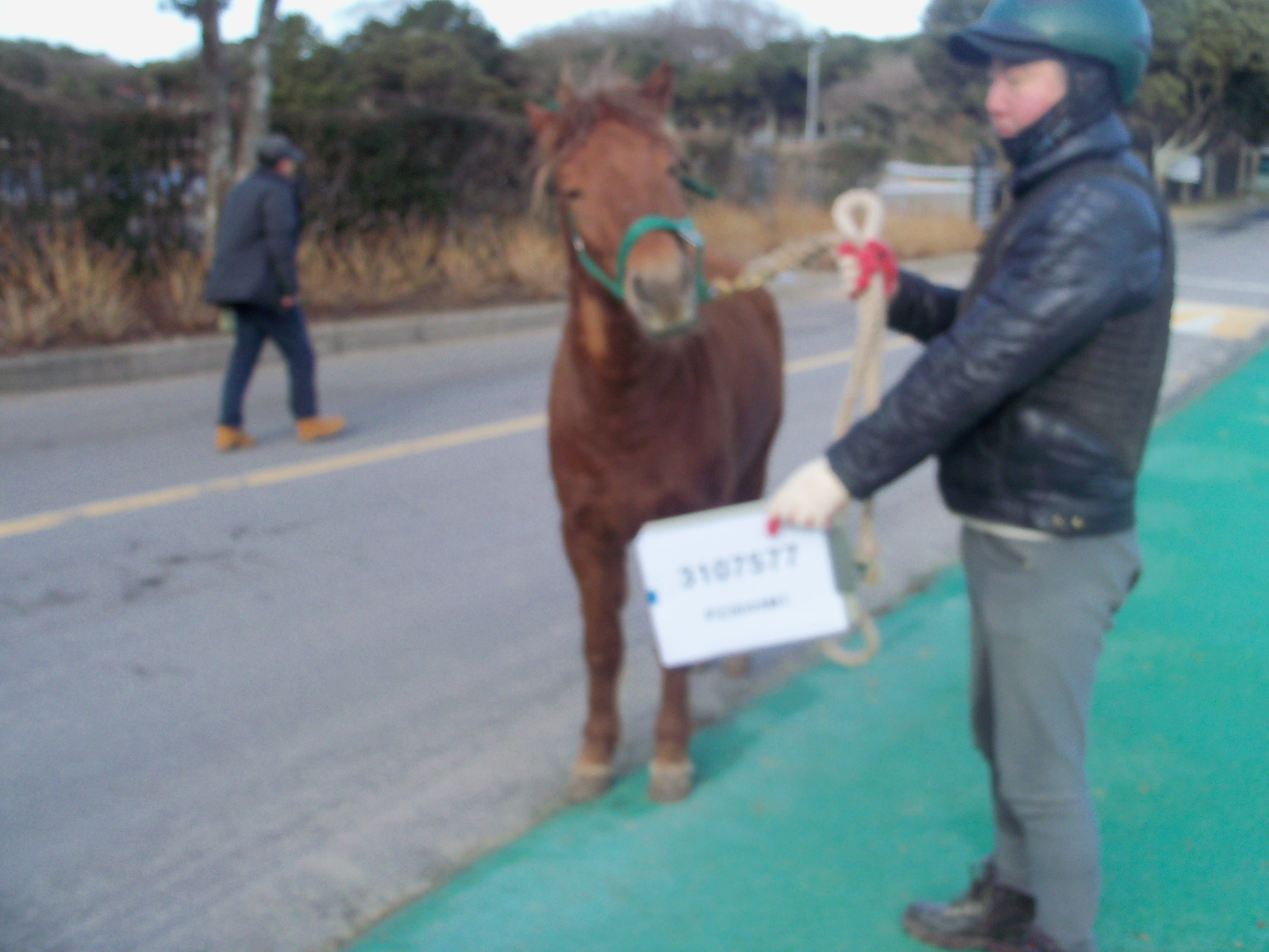 마패호 사진
