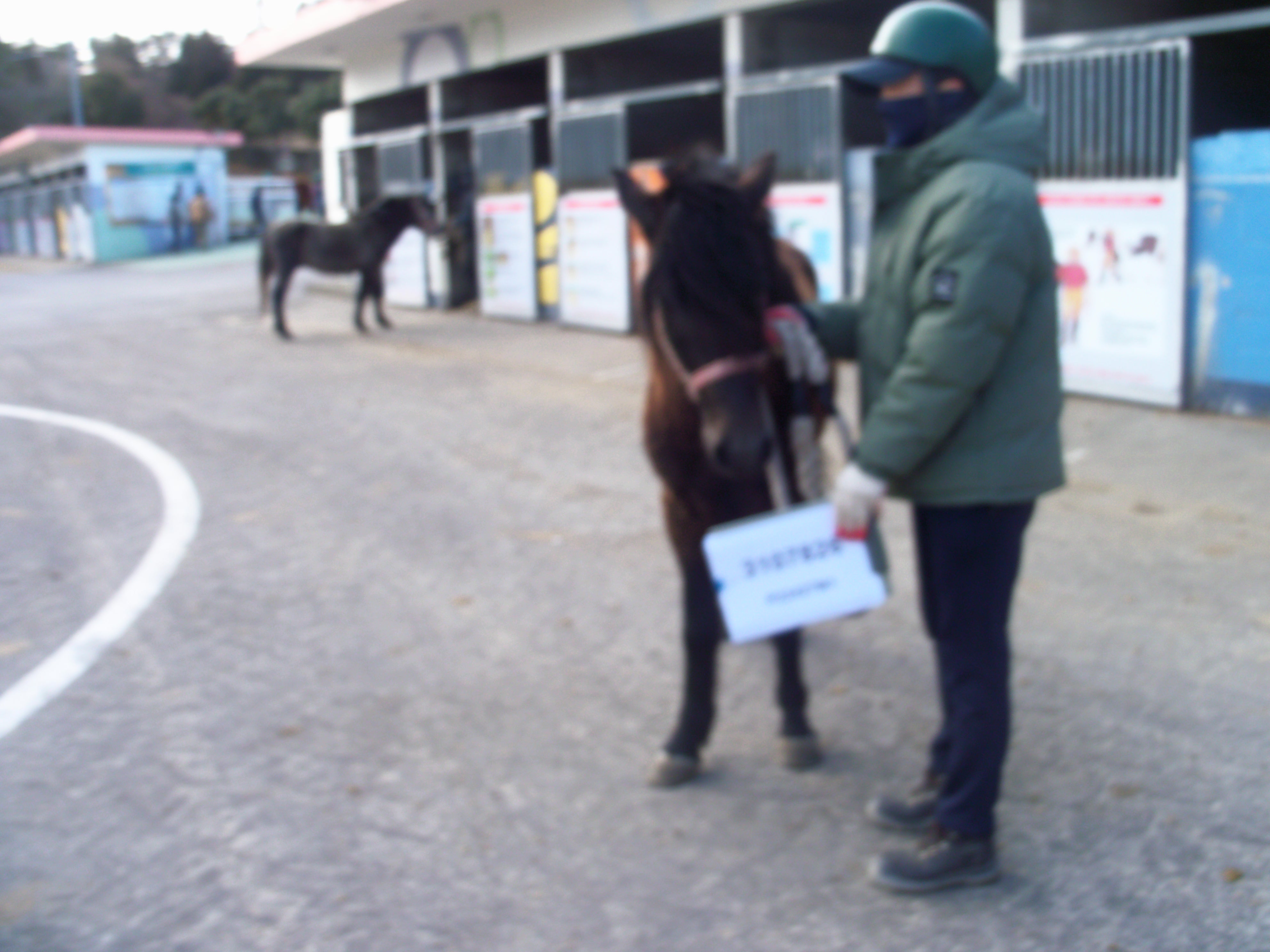 청풍제주 사진