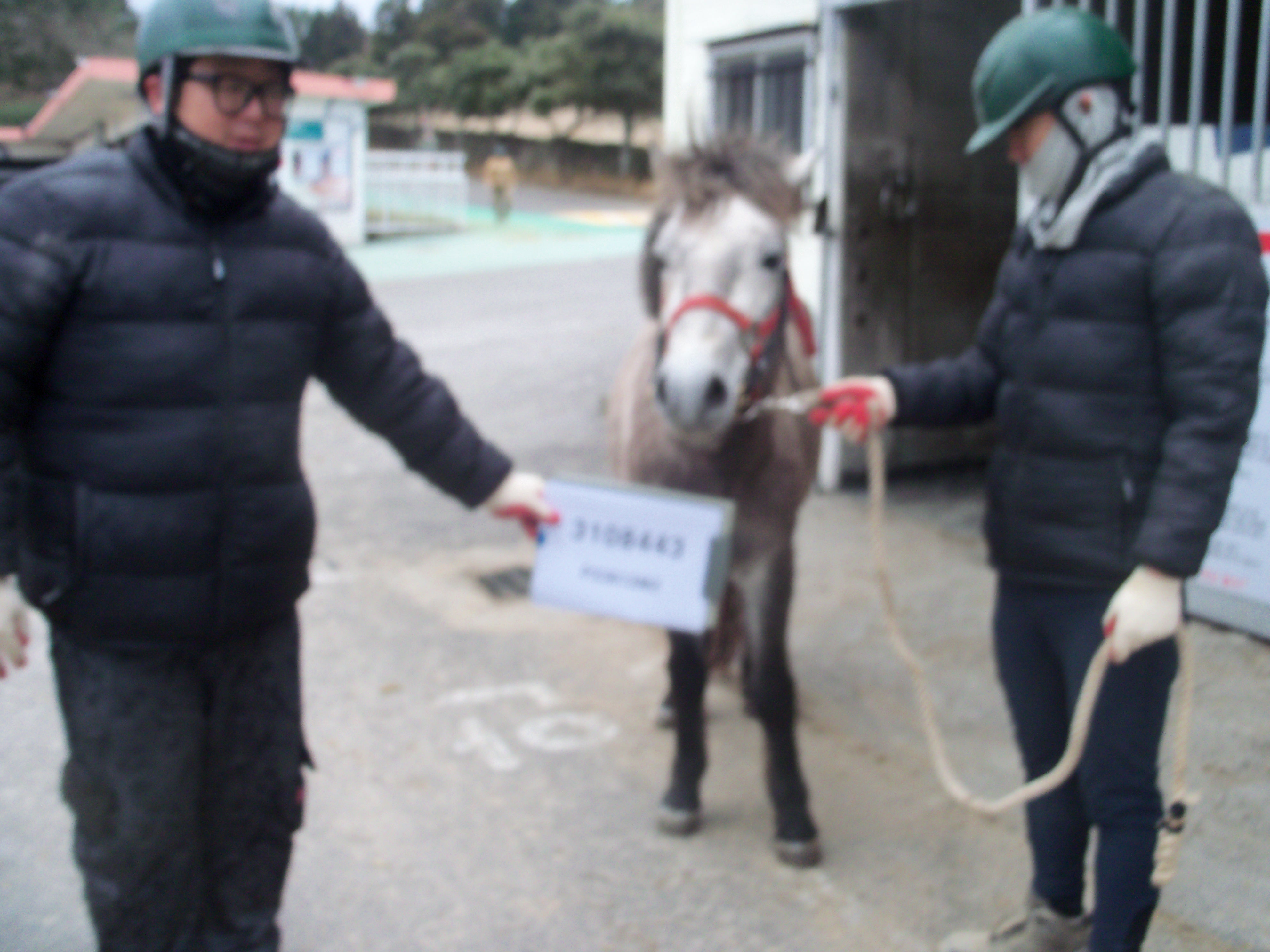리더형 사진
