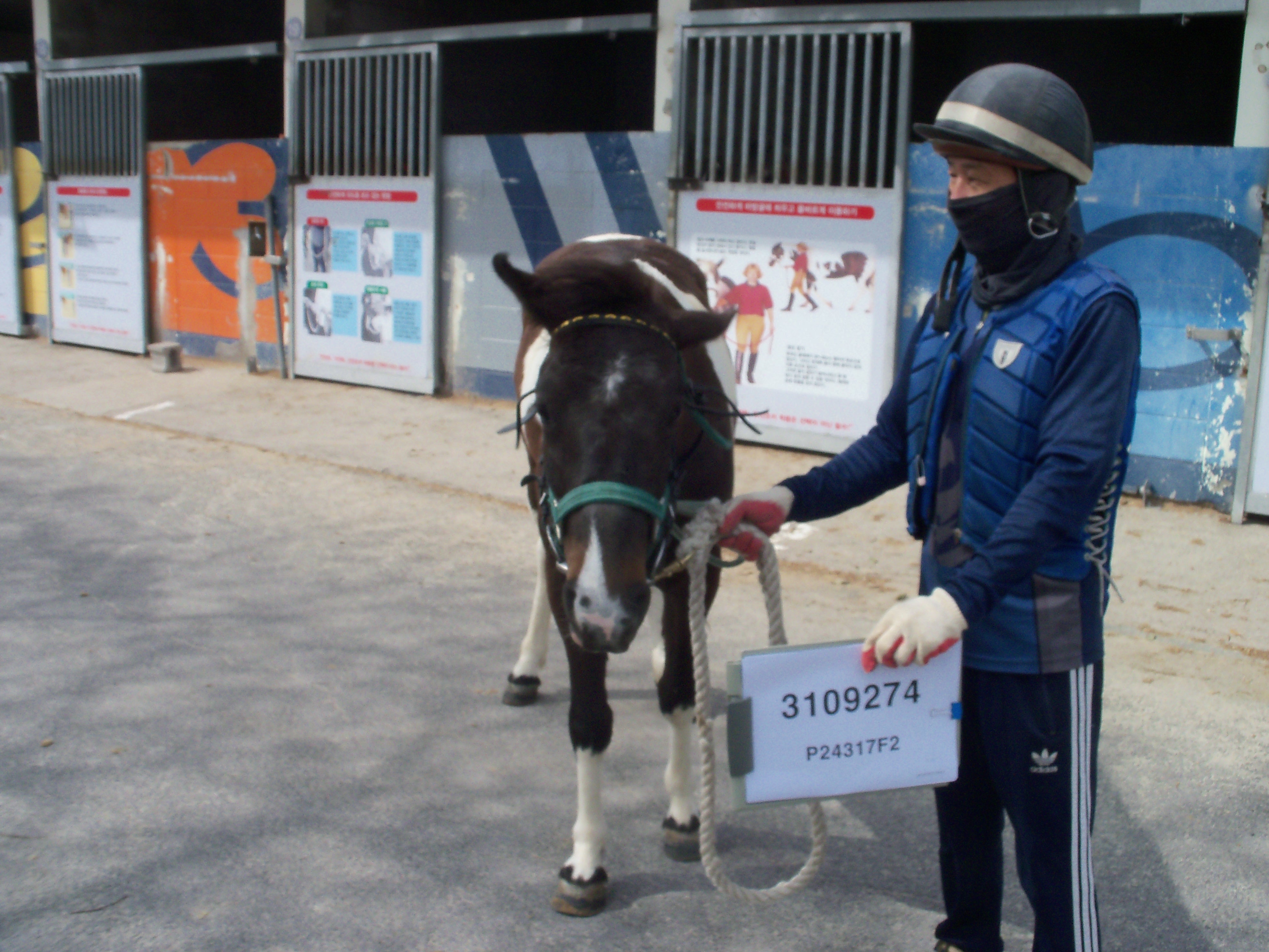 일품히트 사진